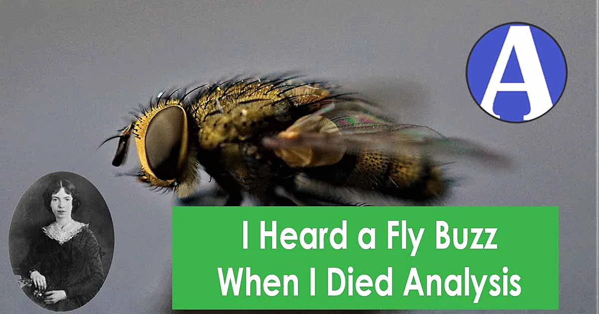 I Heard a Fly Buzz When I Died Analysis